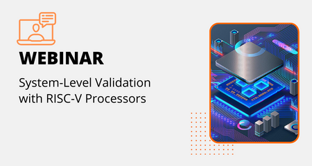 System-Level Validation with RISC-V Processors